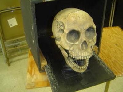 mcelroy skull 001
